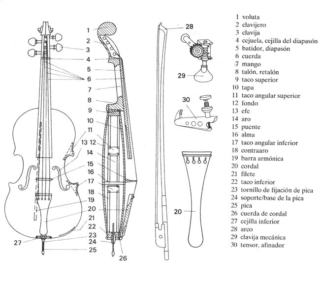 Partes del violoncello