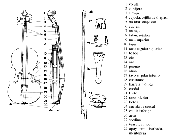 Partes de la viola