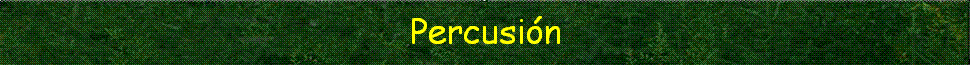 percusion
