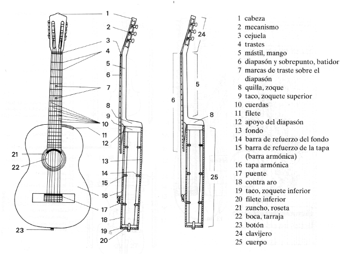 Partes de la guitarra